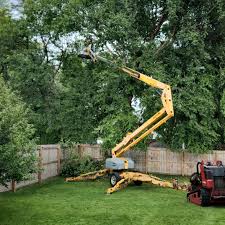 Best Stump Grinding and Removal  in Avondale Estates, GA